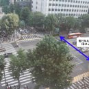 서울프라자 횡단보도 이미지