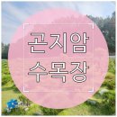 곤지암1배수펌프장 | 곤지암 수목장 사전 답사, 이렇게 준비하면 수월합니다