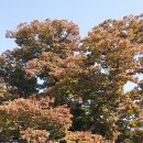 낙안경로당 이미지