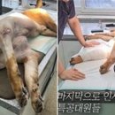 나라에이스 이미지