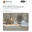 한국인들 홋카이도 눈을 왜 그렇게 좋아할까?. 이미지