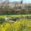 학장천공영주차장(학장동 254-3) | 부산 유채꽃 명소 4월 꽃구경 학장천 위치 주차