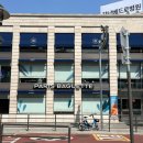 파리바게뜨 양재본점 | 파리바게뜨 빵 추천 내돈내산 솔직후기 (밤식빵, 올리브푸가스, 찹쌀도넛...