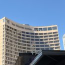 스시조 | 명동 웨스틴 조선 서울 스시 오마카세 스시조 Sushi Cho 런치 후기