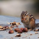 산너미농장 이미지