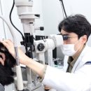 화이트동물메디컬센터 이미지