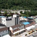 야생화마을 추리본부 이미지