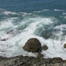 연대그린펜션 이미지