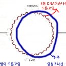 Re:망할토포이소머라아제...ㅋ 이미지