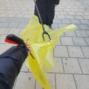 다육이 아트(A) | [Lv.116] 2025년 12월 8일부터 21일 까지의 일상(다른 행성에 정신 팔아먹고 살았던 2주치 기록)