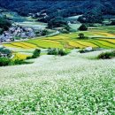 Korean countryside landscapes 이미지