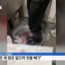 족발집 - 창원시 진해구 용원로90번길 17 | 족발집