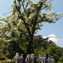 구성마을 입구  구성마을 이미지