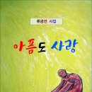 아픔도 사랑 / 류금선 시집 (전자책) 이미지