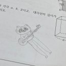 기타치는너구리