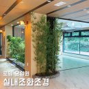 로뎀요양원 | 인조대나무조경, 경기도 광주 로뎀요양원 실내 조화인테리어, 플랜트박스 시공!