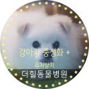 구포동물병원 이미지