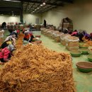 금산이네 이미지