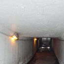 궁전아파트앞 이미지