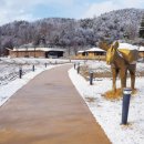 동서남북축산 이미지