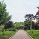 산동교 친수공원 축구장 이미지