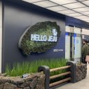 성산모텔 | 가성비 좋은 성산마리나호텔 내돈내산 후기