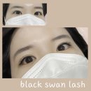 블랙스완래쉬 이미지
