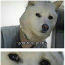 심봤다 두루치기 이미지