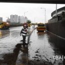 간선-81 이미지