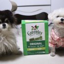 아미덴탈 이미지