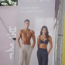 포레스트 다이어트 이미지