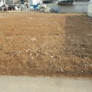 신천리사무소 주차장 이미지