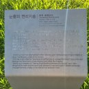 순흥의 연리지송 이미지