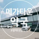 평택 대형약국💊 마트 스케일의 '메가타운약국' 방문 후기! (365일 연중무휴, 영양제·동물의약품 쇼핑)