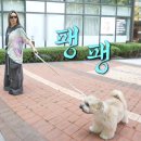 산책 이미지