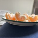 미소로 동물병원 | 미즈메디 병원 자연분만(유도분만) 후기 / 박하나 선생님/ 40주 3일/3.8kg