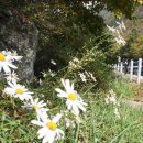 진고개농장 이미지