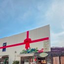 매일 꽃 | 구미 금리단길 카페 매일그대와, 생화 꽃커피에 반한 육아맘 힐링 후기