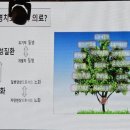 더샤인글로벌 이미지