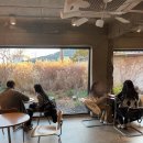 구루커피 로스터스