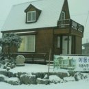 나무그늘의 작은집 작은세상 이미지