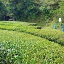 서광리-14 이미지