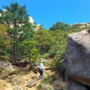 속초시 달마봉~울산바위 서봉 종주 2편 ( 240930 ) 이미지