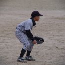 제주남초등학교 이미지