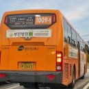 모라지구공원 이미지