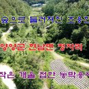 숲속작은개울