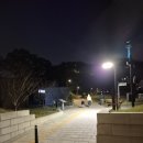 서울 남산 야경데이트 후기 사랑의 자물쇠