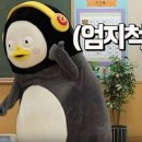 라인텐 이미지