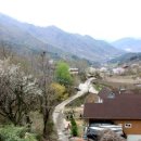 안촌농장 이미지