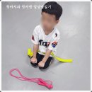 경희대 최강 MTA 태권도 이미지